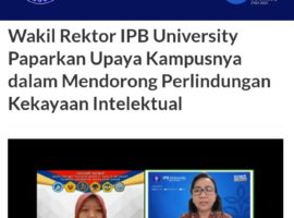 WhatsApp Image 2021-11-01 at 12.54.31