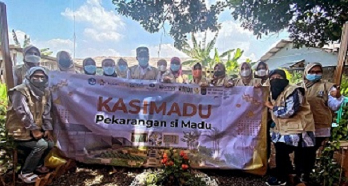 kwt-ratujaya-depok-hasilkan-madu-dari-penerapan-kasimadu-karya-inovasi-ipb-university-news