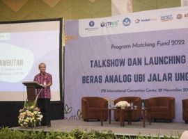 dosen-ipb-university-buat-beras-analog-ubi-jalar-ungu-news