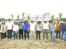 IPB-University-Sukses-Naikkan-32-Persen-Produksi-Padi-di-350-Ha-Sawah-di-Kampung-Inovasi-IPB-Subang-770x400