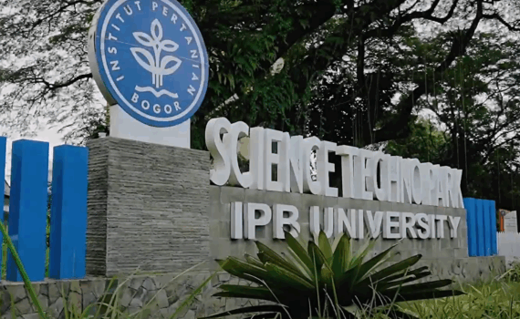 STP IPB