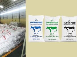 alumni-ipb-university-ciptakan-sjfeed-pakan-inovatif-dongkrak-bobot-sapi-hingga-1-3-kg-per-hari-770x400