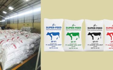 alumni-ipb-university-ciptakan-sjfeed-pakan-inovatif-dongkrak-bobot-sapi-hingga-1-3-kg-per-hari-770x400